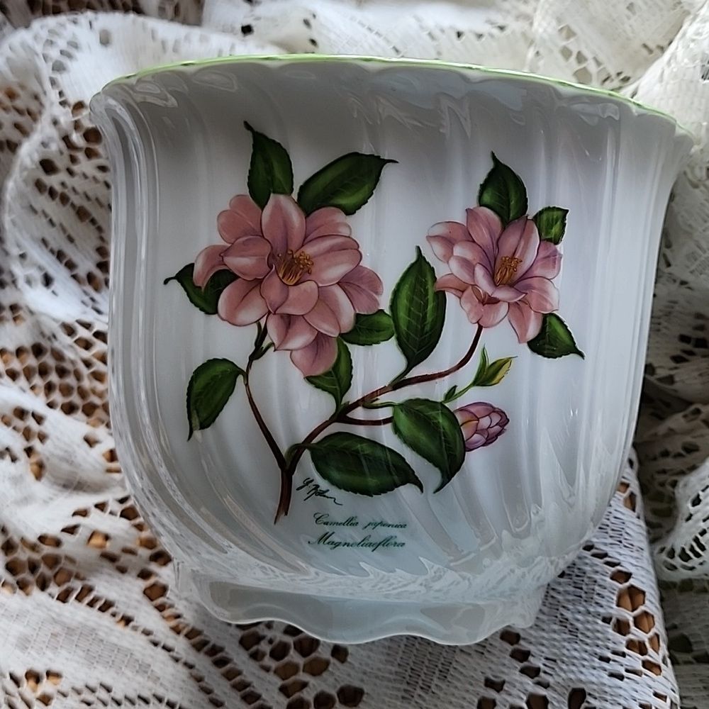 Camellia China Cachepot Made In Germany